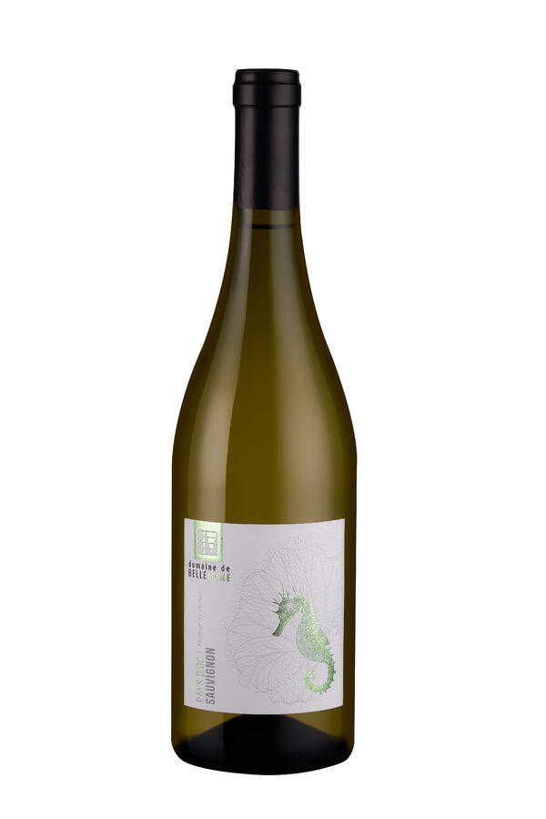Sauvignon 2023 Domaine De Belle Mare