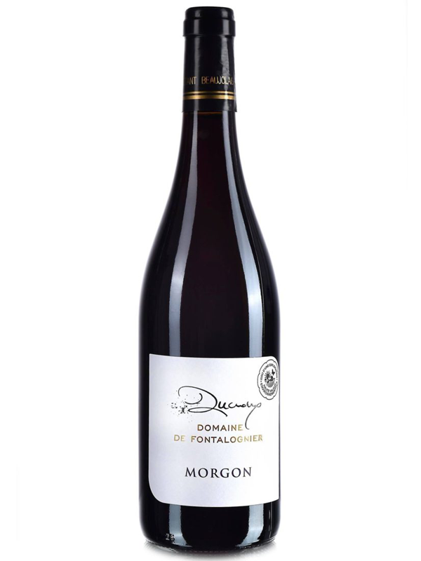 Morgon 2019 Cru De Beaujolais Domaine De Fontalognier