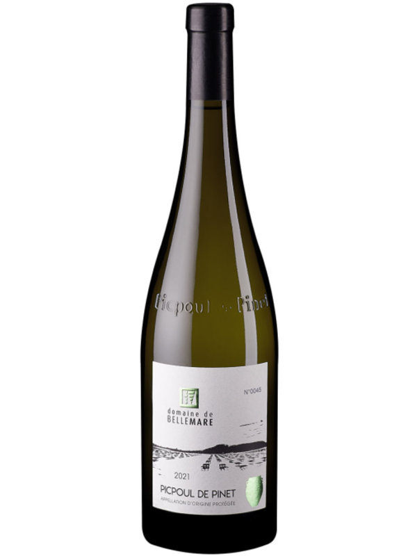 Picpoul-de-pinet-belle-mare-patience-amfora